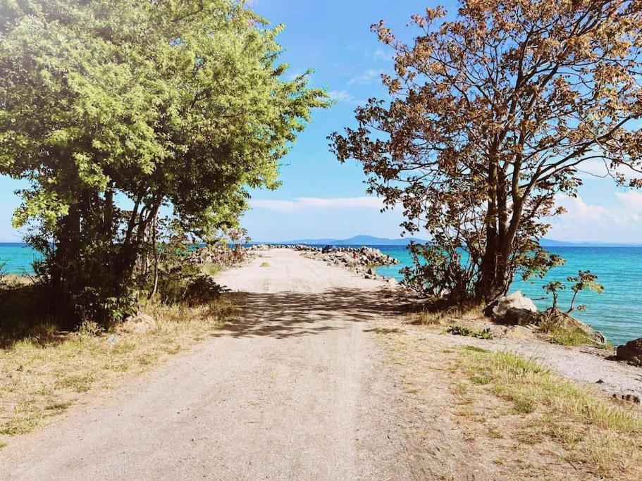 Lovely Studio Apartment On The Beach 布尔加斯 外观 照片